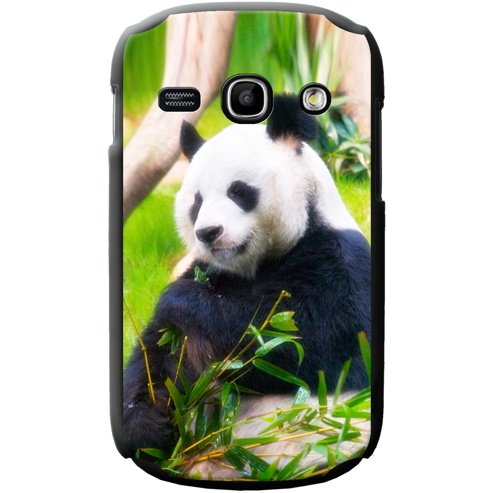 Pandra bear teen model Sorry, does Pandra bear teen model something